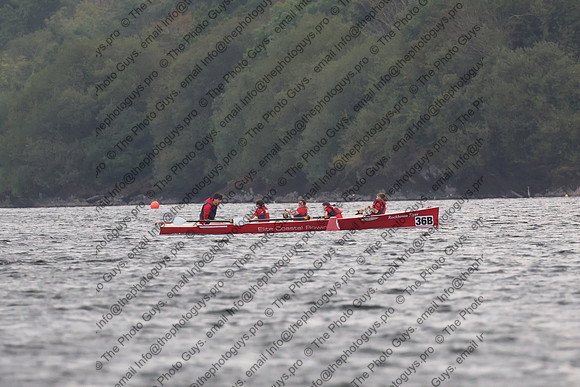 20061