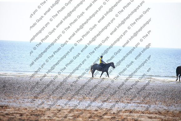 2212