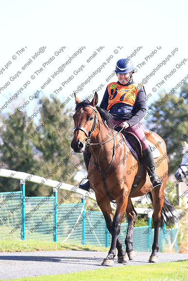 1DX_0375