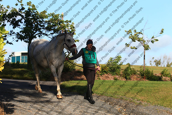 1DX_0020