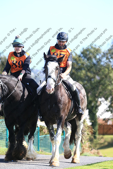 1DX_0386