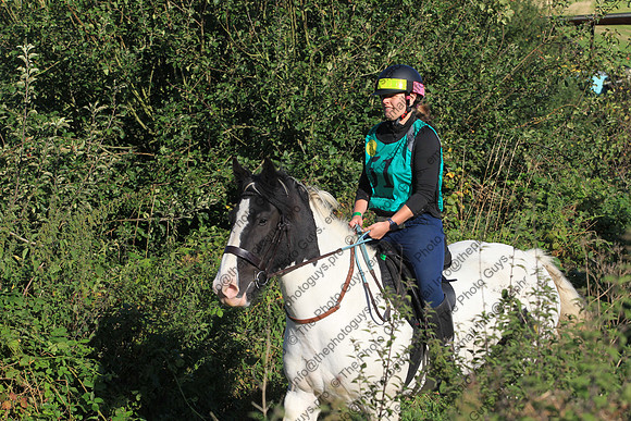 BL2K0060