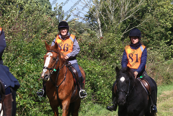 BU1V0408