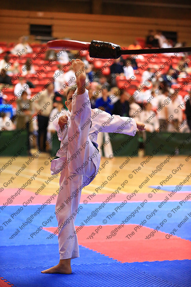 10119