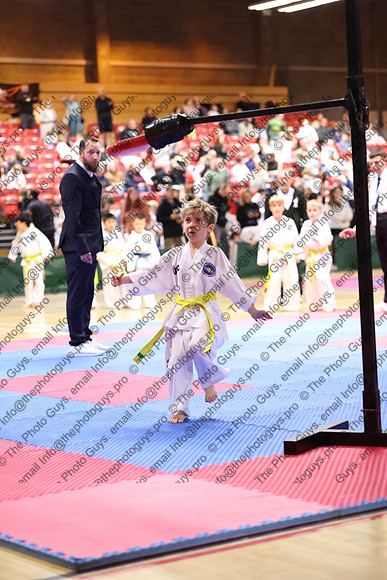 10423