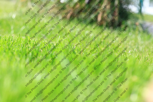 3519
