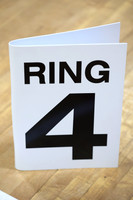 Sparring Rings 3 & 4 14.45 - 15.30