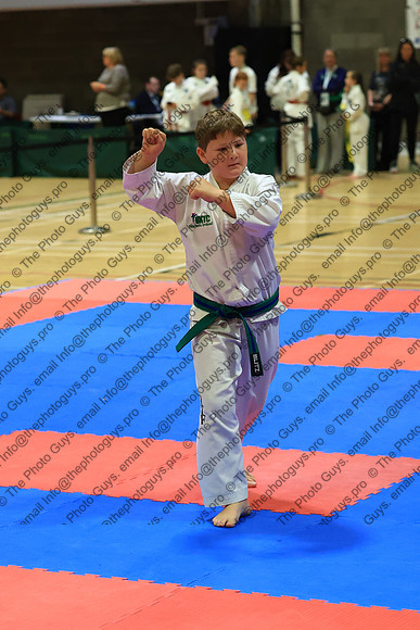 20524
