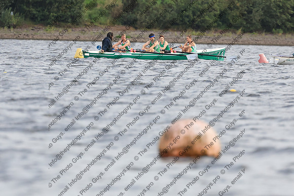 10016