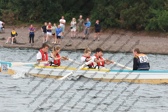 12007