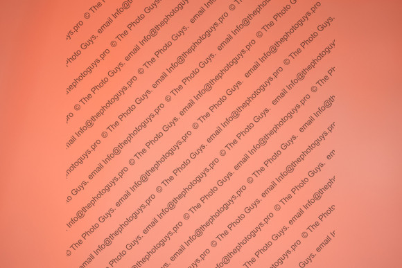 10407