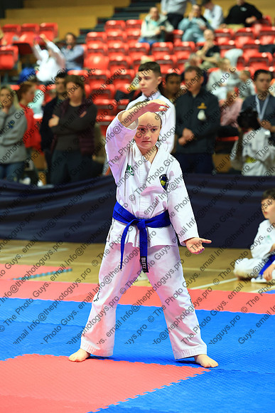 14033