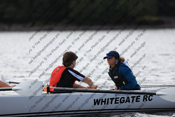 20379
