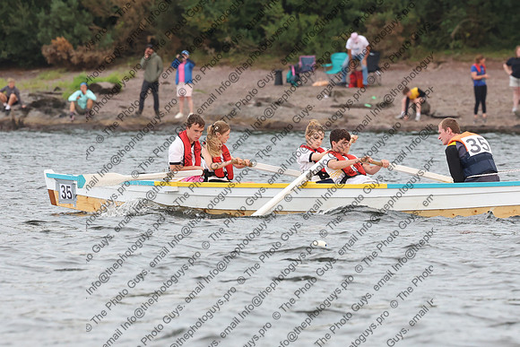 12010