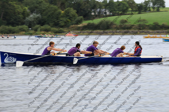 20194