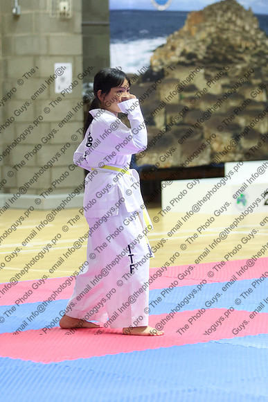 12019