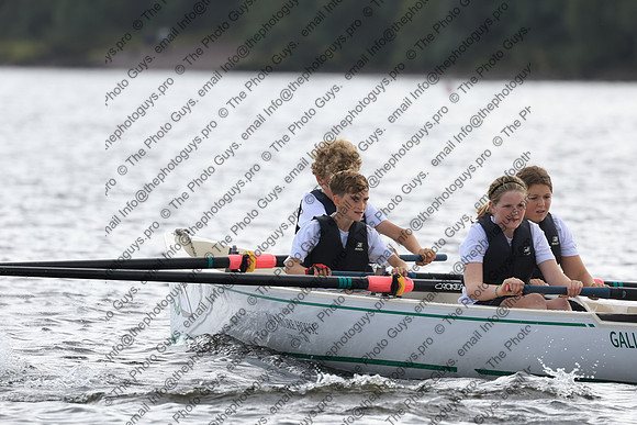 20411