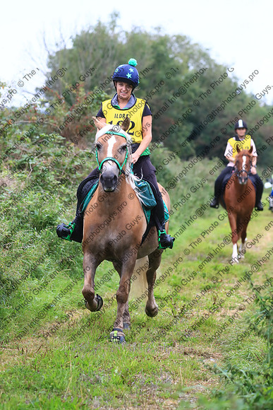 1141