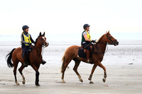 2009