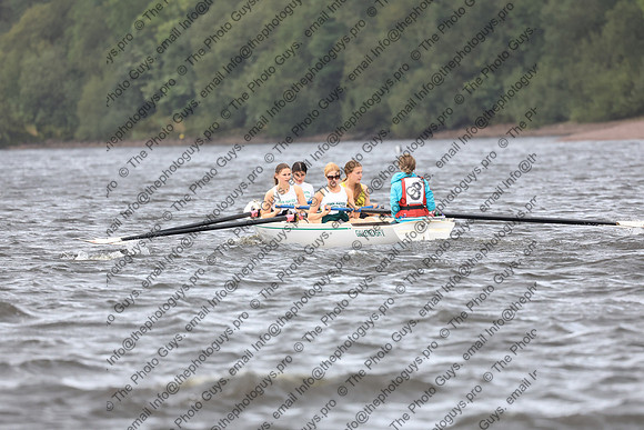 11231