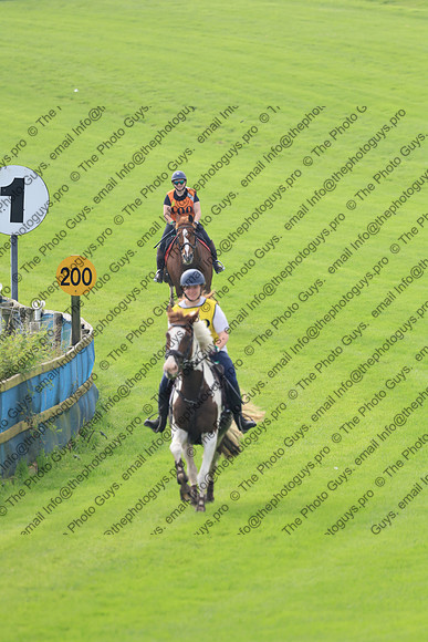 3602