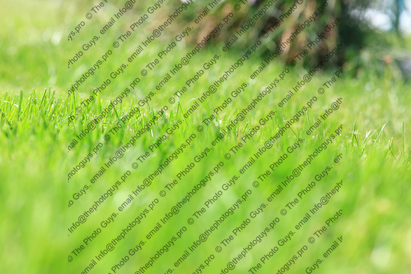 3517