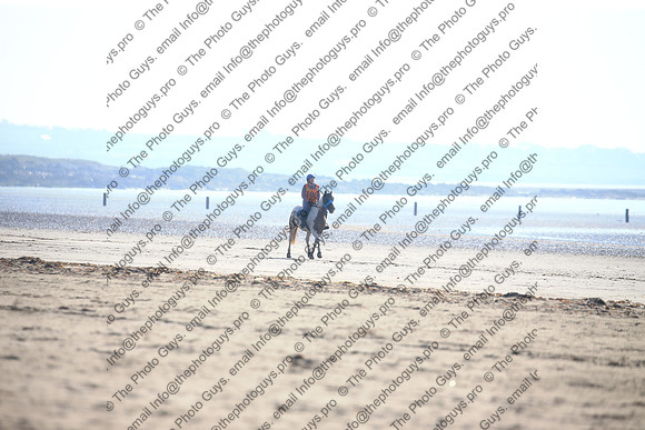 2060