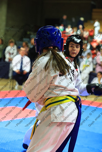 15988