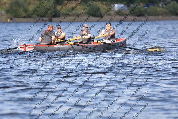 22308