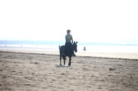 2007