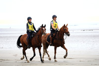 2006