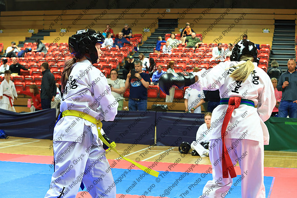 17445