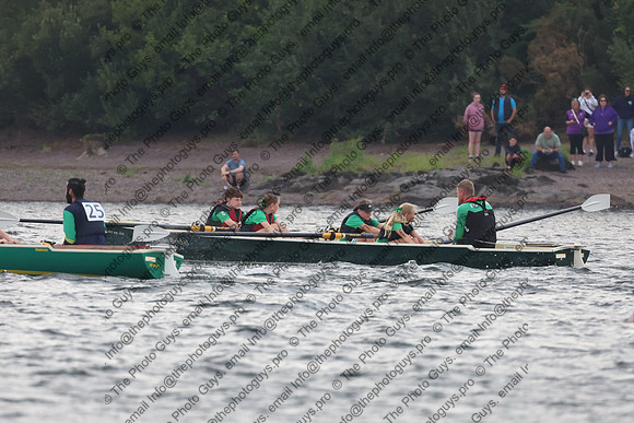 20036