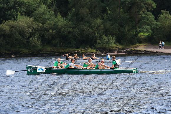 21981