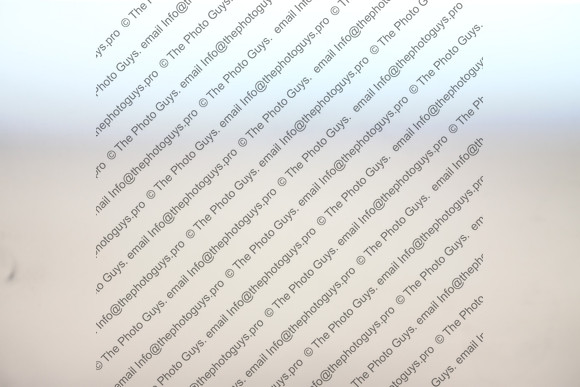 2117