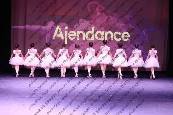 12026