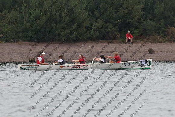 20246