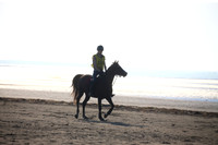 2009